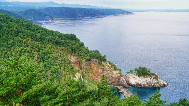 普代村の黒埼展望台からの景色