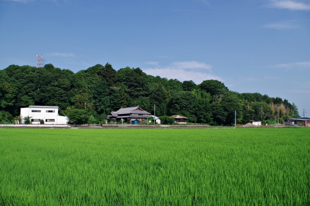九戸村の人口を眺めていて、年代ごとの減り方が気になった