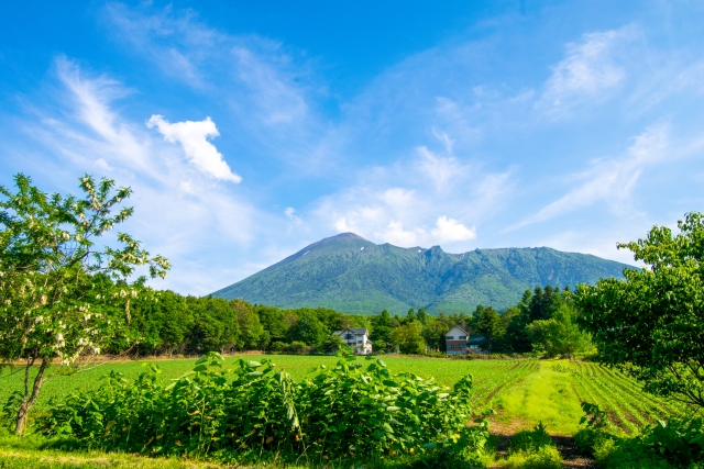 滝沢市の人口53,895人、静かに伸びる街を気になって調べた結果😊